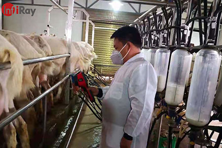 A termikus kamerák alkalmazása a tejiparban: a tejelő tehenek és kecskék betegségeinek azonnali felfedezése