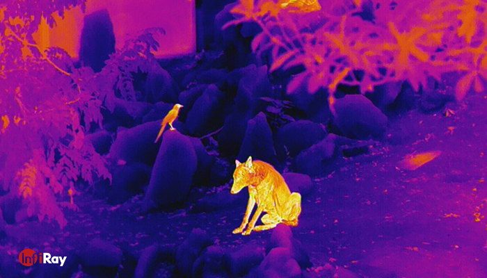 04Highly_sensitive_InfiRay_thermal_imaging_camera.png