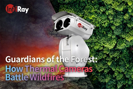 Az erdő őrzői: hogyan küzdenek a termikus kamerák