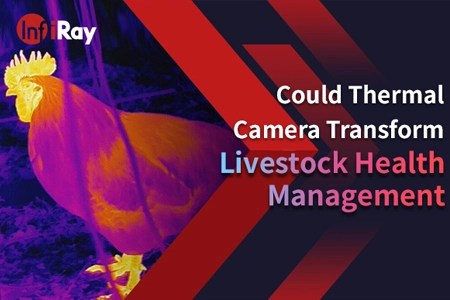 Lehet termikus kamera átalakítja az állatállomány egészségügyi menedzsment