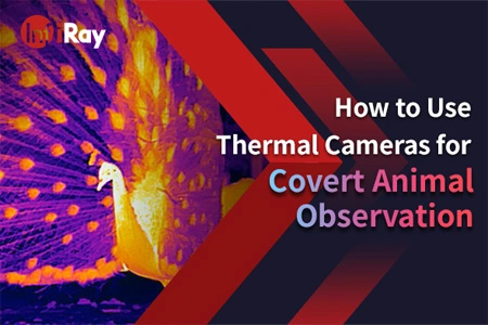 Hogyan kell használni a termikus kamerák rejtett állat megfigyelés